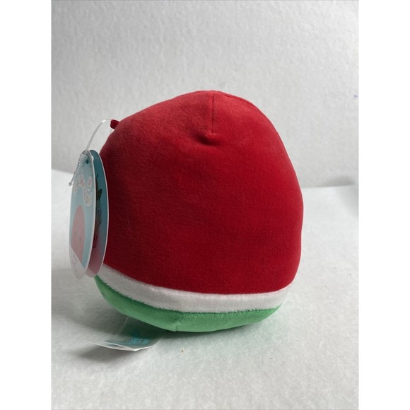 NWT Winsey the Watermelon 🍉 5” Squishmallow - Picture 3 of 10